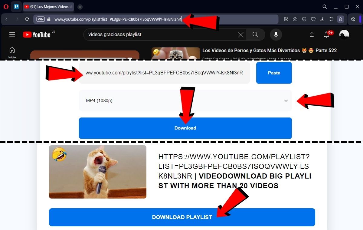 How To Download Youtube Playlist On Pc Without Programs