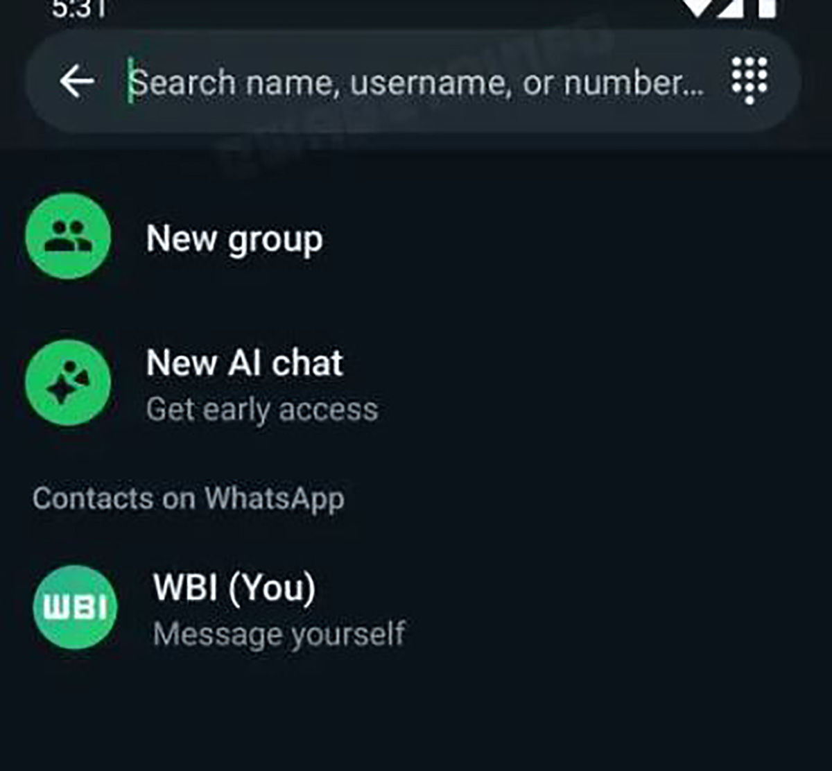 Whatsapp Usernames