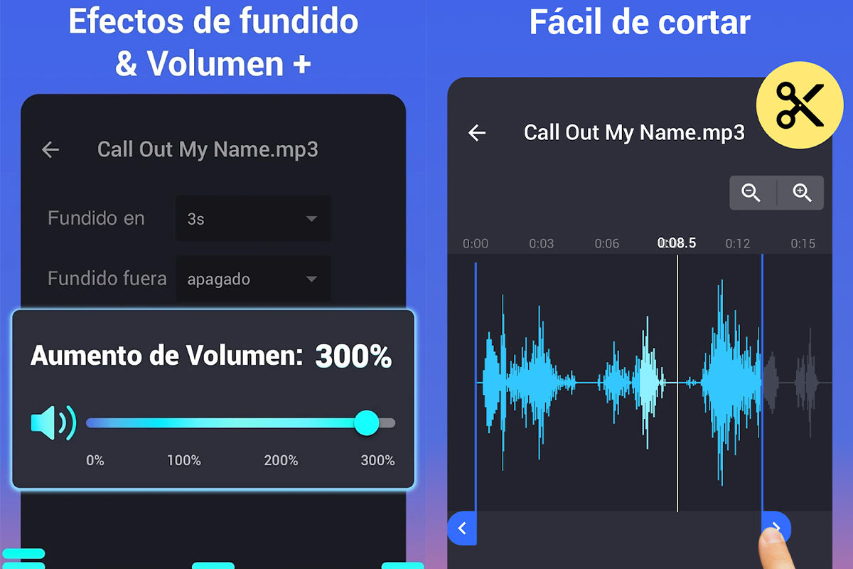 Audio Editor: Cut Audio