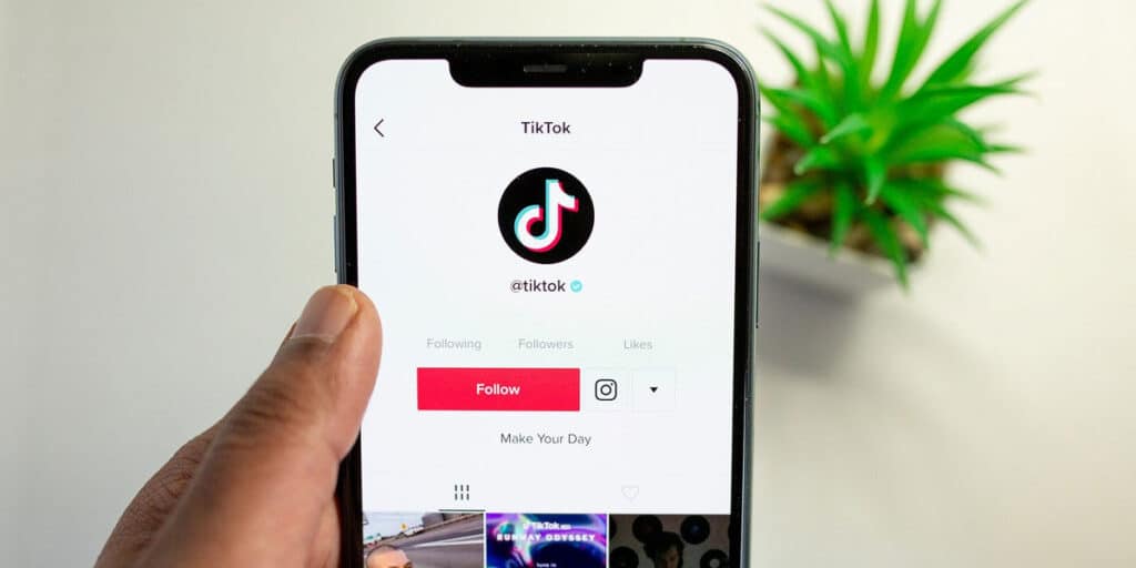 Cómo Ver Los Seguidores En Tiktok De Una Cuenta Privada