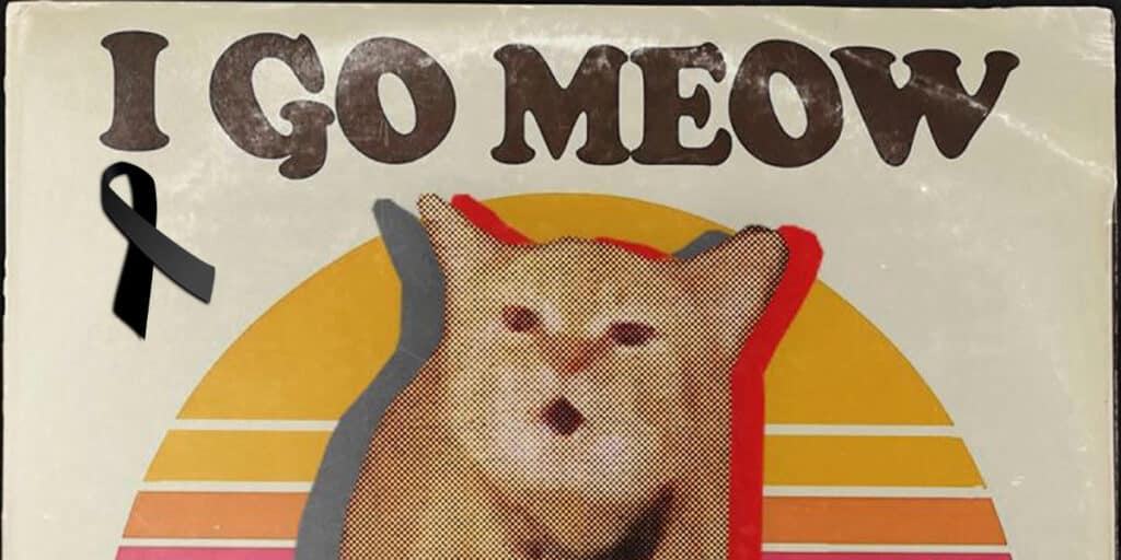I Go Meow: Tiktok'S Viral Singing Cat Has Passed Away