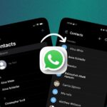 Comment Exporter Et Importer Des Contacts Whatsapp : Guide 2024