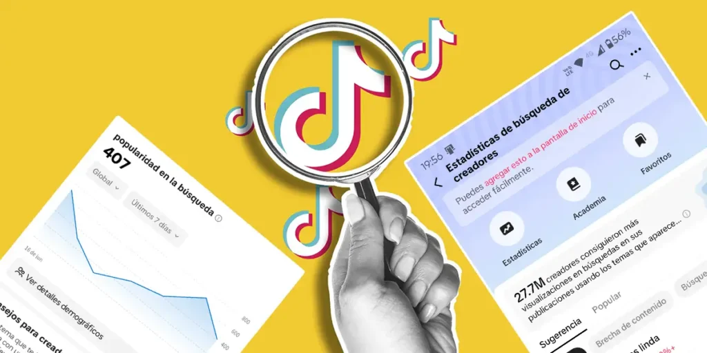 Creator Search Insights En Tiktok Qué Es Y Cómo Usar Esta Función