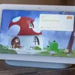 Como Instalar La Rana Del Tiempo De Google En Android