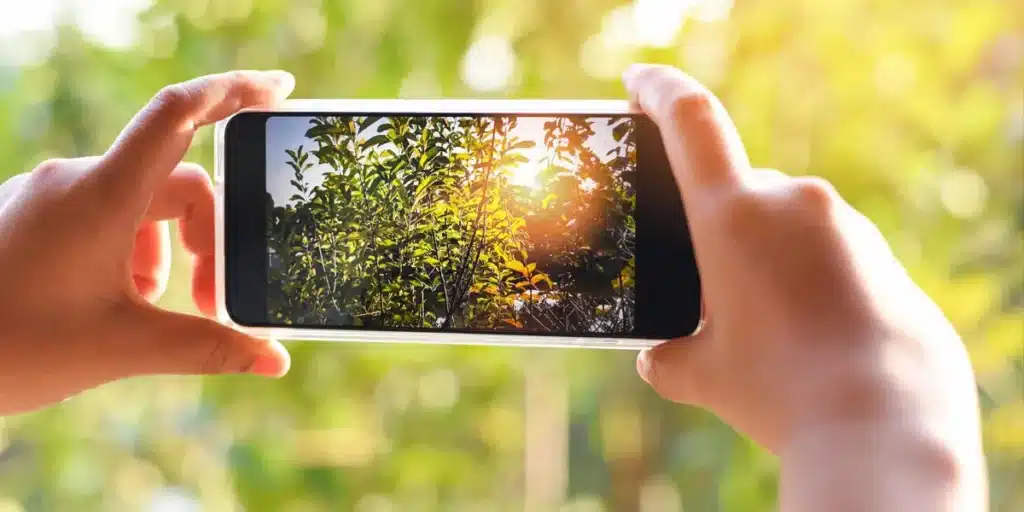 Cómo Hacer Fotos Con El Fondo Desenfocado Con El Móvil